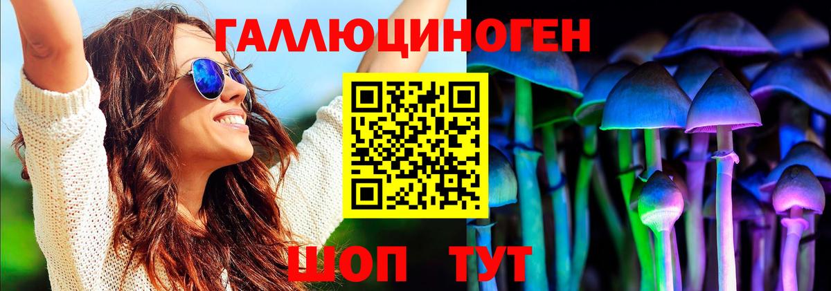 Псилоцибиновые грибы прущие грибы Амурск